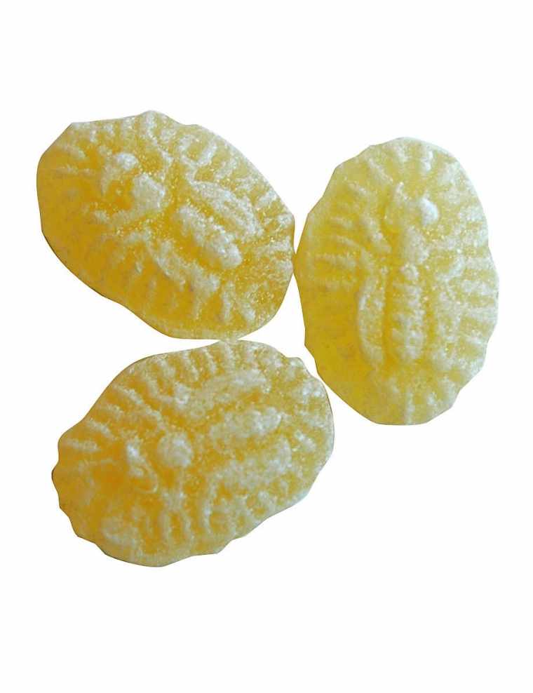 Miel pot verre 175g X10